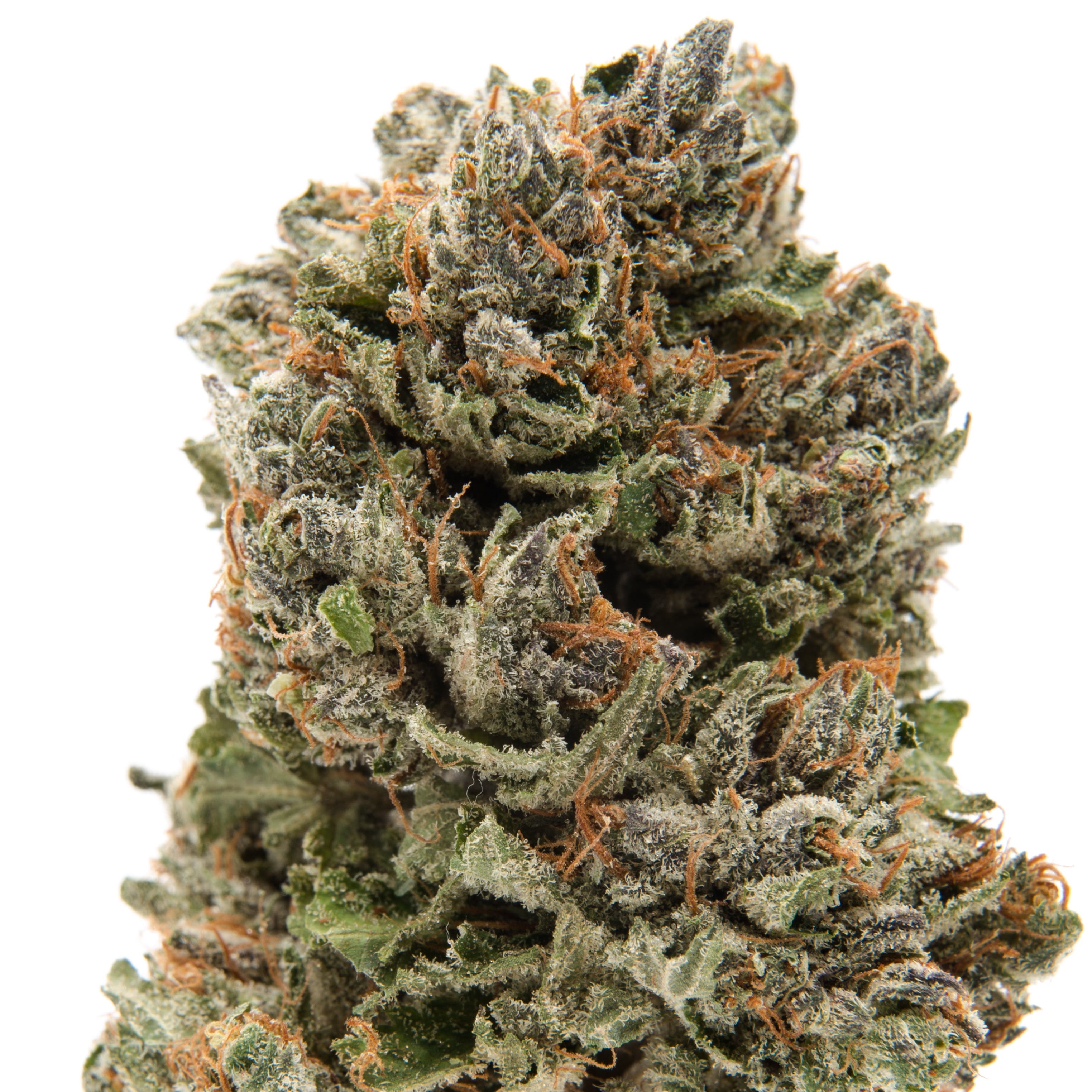 Arbors Wellness Purple OG Leafly